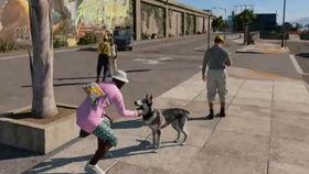 狗哥爆料新鞋视频大全,新鞋视频大全大放送！