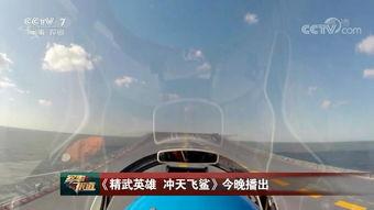 飞行员技能爆料视频播放,视频曝光背后的飞行奥秘